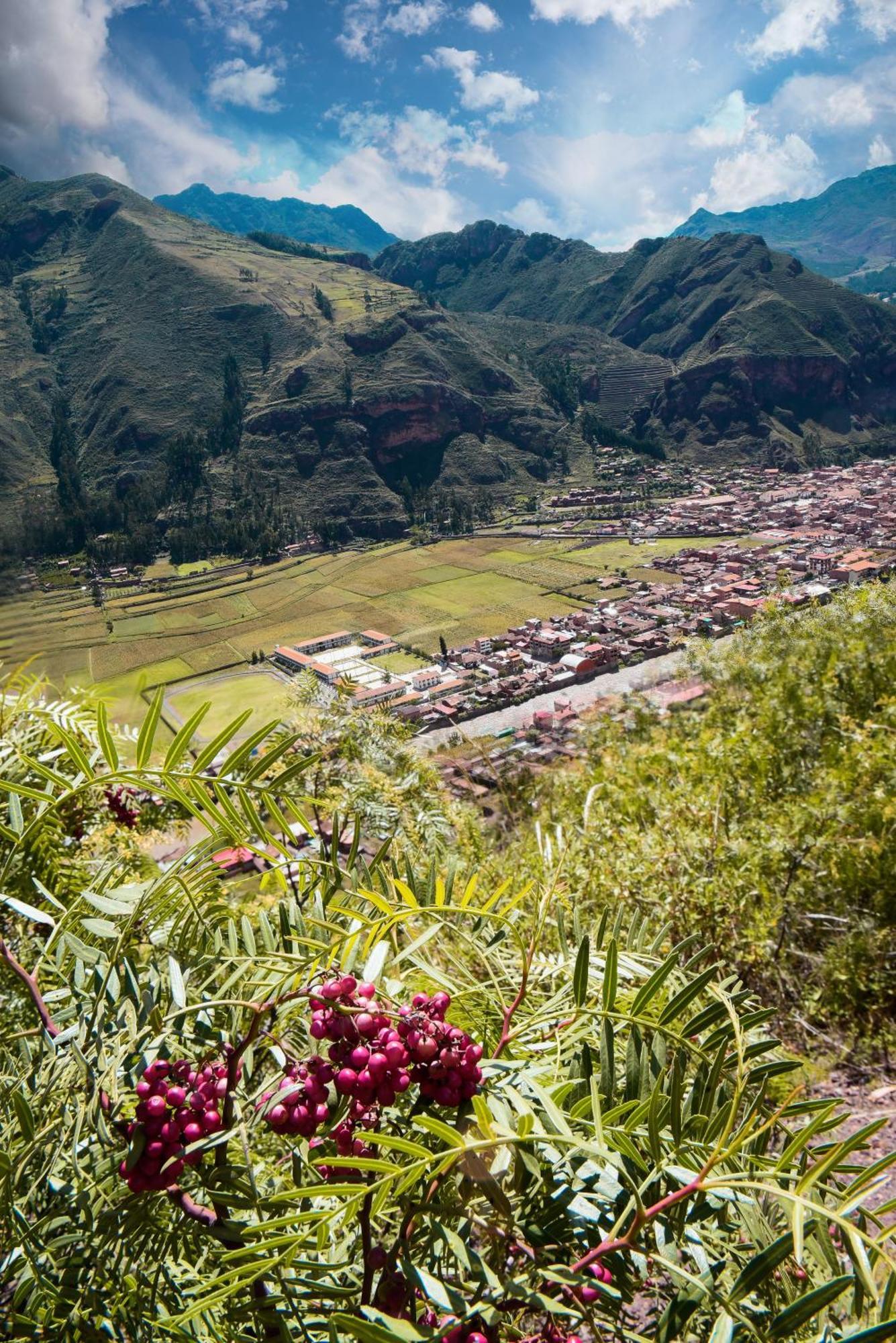 Rumi Lodge Pisac Kültér fotó