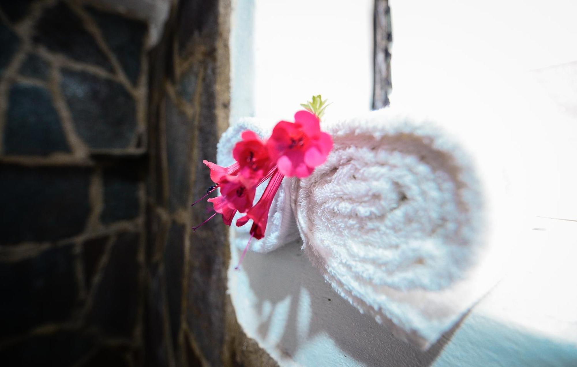 Rumi Lodge Pisac Kültér fotó